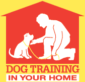 Exercise Equipment for Dogs  Dog Training In Your Home - Myrtle Beach