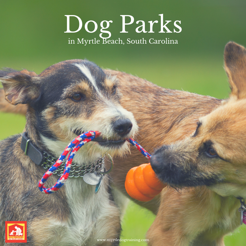 Dog Parks in Myrtle Beach | Dog Training In Your Home - Myrtle Beach