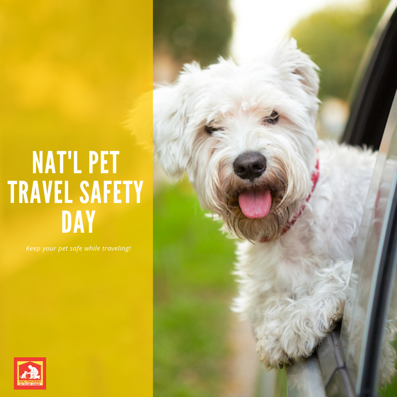 National Pet Travel Safety Day Dog Training In Your Home Myrtle Beach